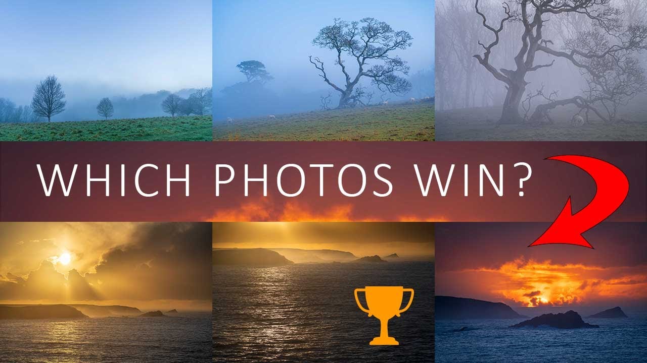 Which 9 out of 10 images win?
