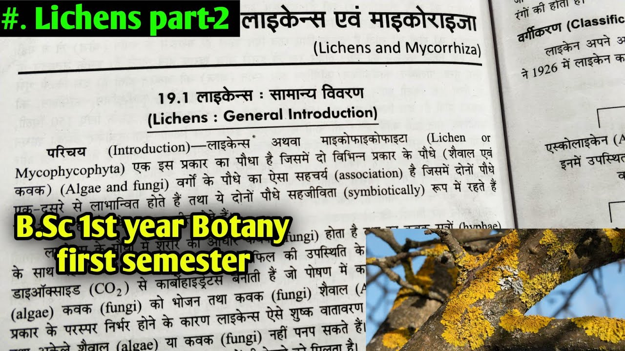 Lichens part-1||General characters of Lichens ||Structure and Reproduction in Lichens||B.Sc 1st year