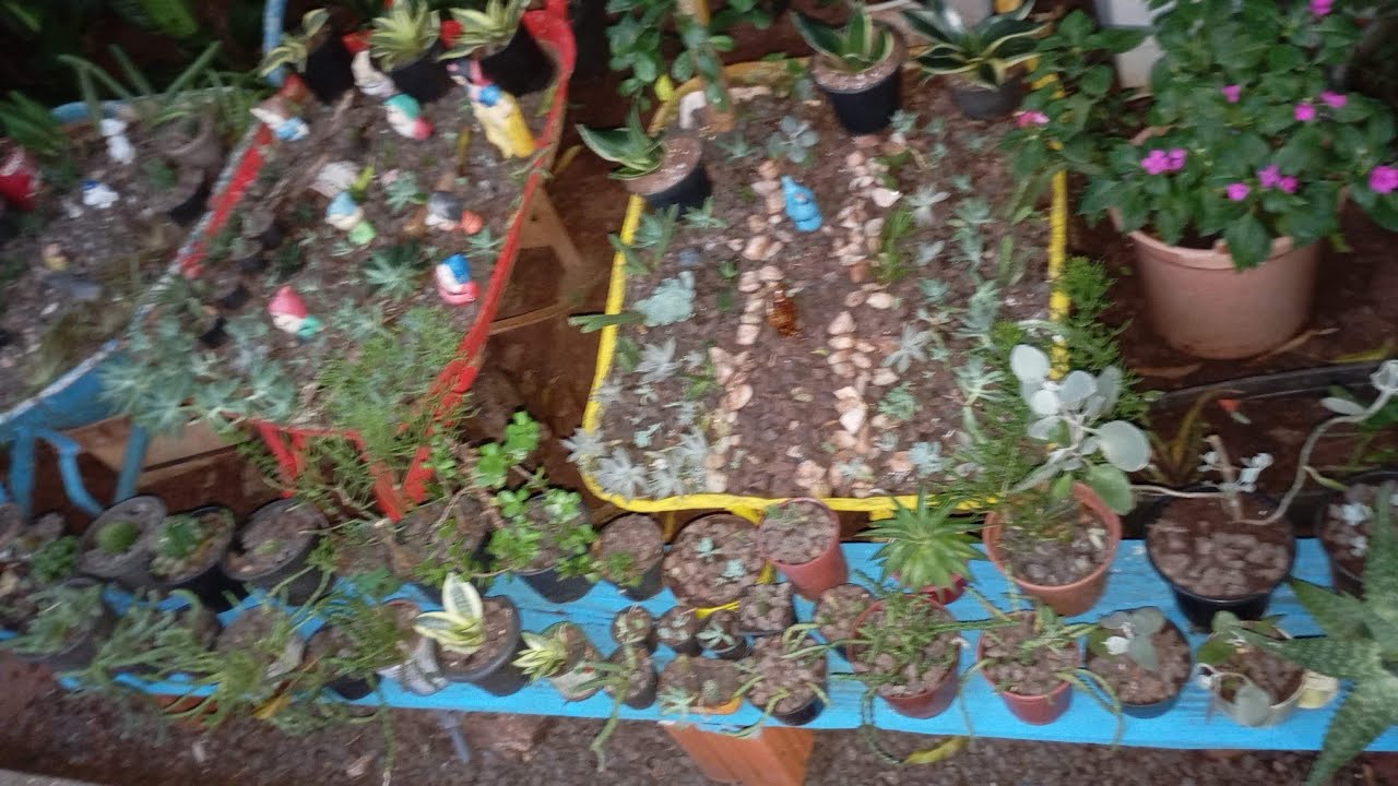 LULA E BOLSONARO ESTRAGANDO AS FLORES DO JARDIM 🏡🏡🏡