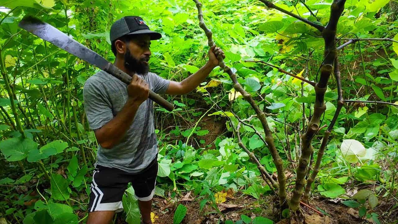 The World Famous Kadavu Kava🇫🇯