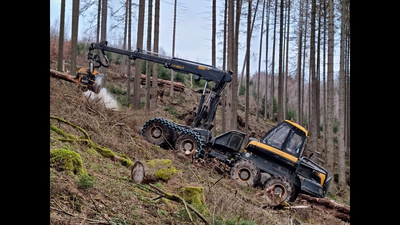 🌲*BEAR vs. BIG TREES • Ponsse Bear in Starkholz • Ponsse Logging • Harvester Action • Logging🌲