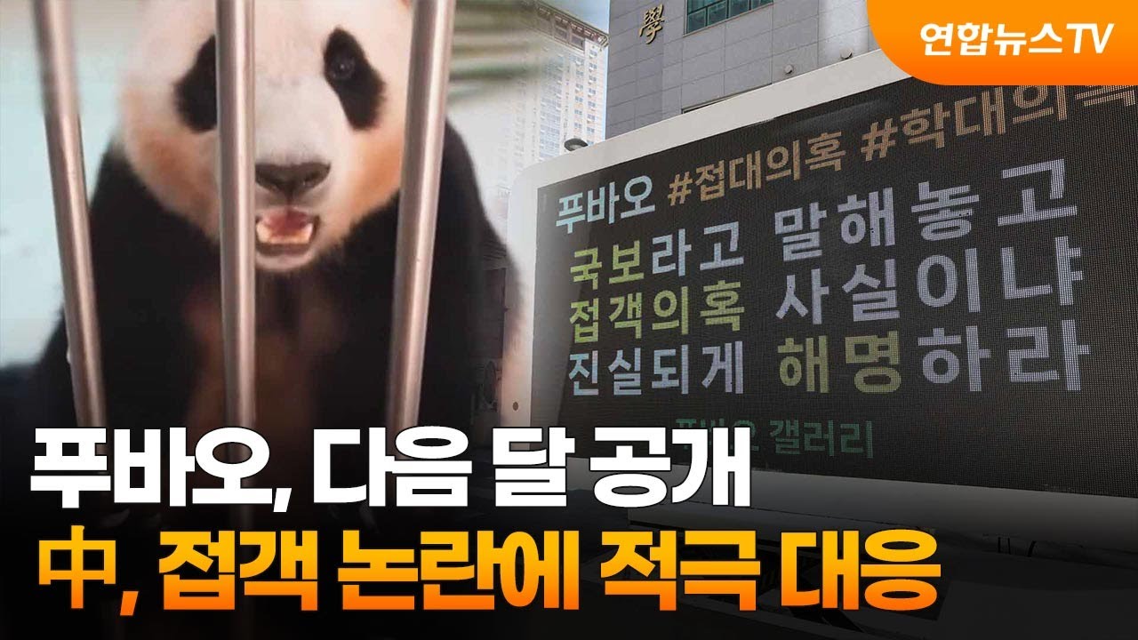 푸바오, 다음 달 공개…中, 접객 논란에 적극 대응 / 연합뉴스TV (YonhapnewsTV)