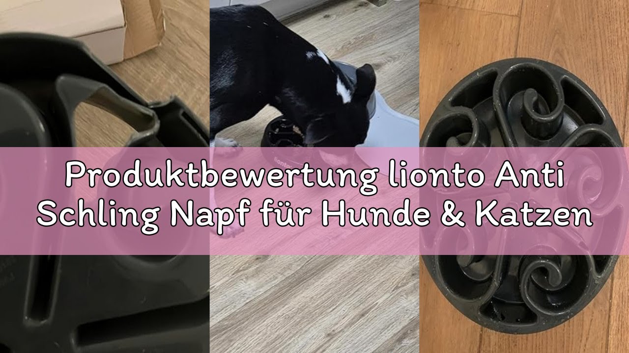 Produktbewertung lionto Anti Schling Napf für Hunde & Katzen, Ø 20 cm, Höhe 5 cm, Fassungsvermögen v