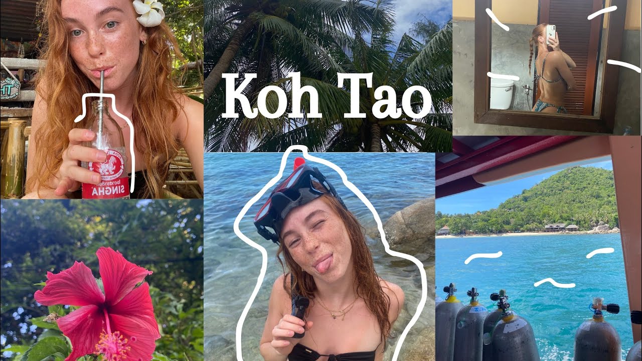 Backpack vlog 2: verliefd op Koh Tao, should I move here??