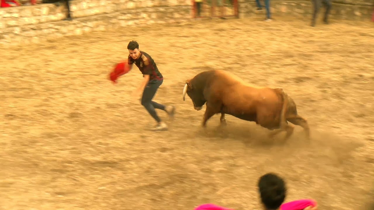 Caspueñas celebró un bonito encierro por las calles