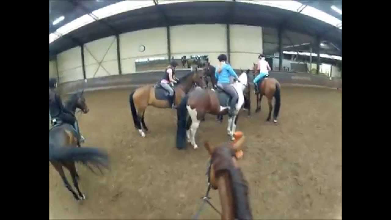 Mounted Games - Balij Manege Zoetermeer