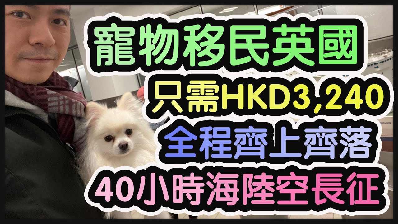 《寵物移民，輕鬆不求人！HKD3,240自己攪掂》寵物形影不離！一齊￼坐飛機丨40小時海陸空之旅丨松鼠狗經荷蘭入英國《🇬🇧毛爸英國生活小分享》