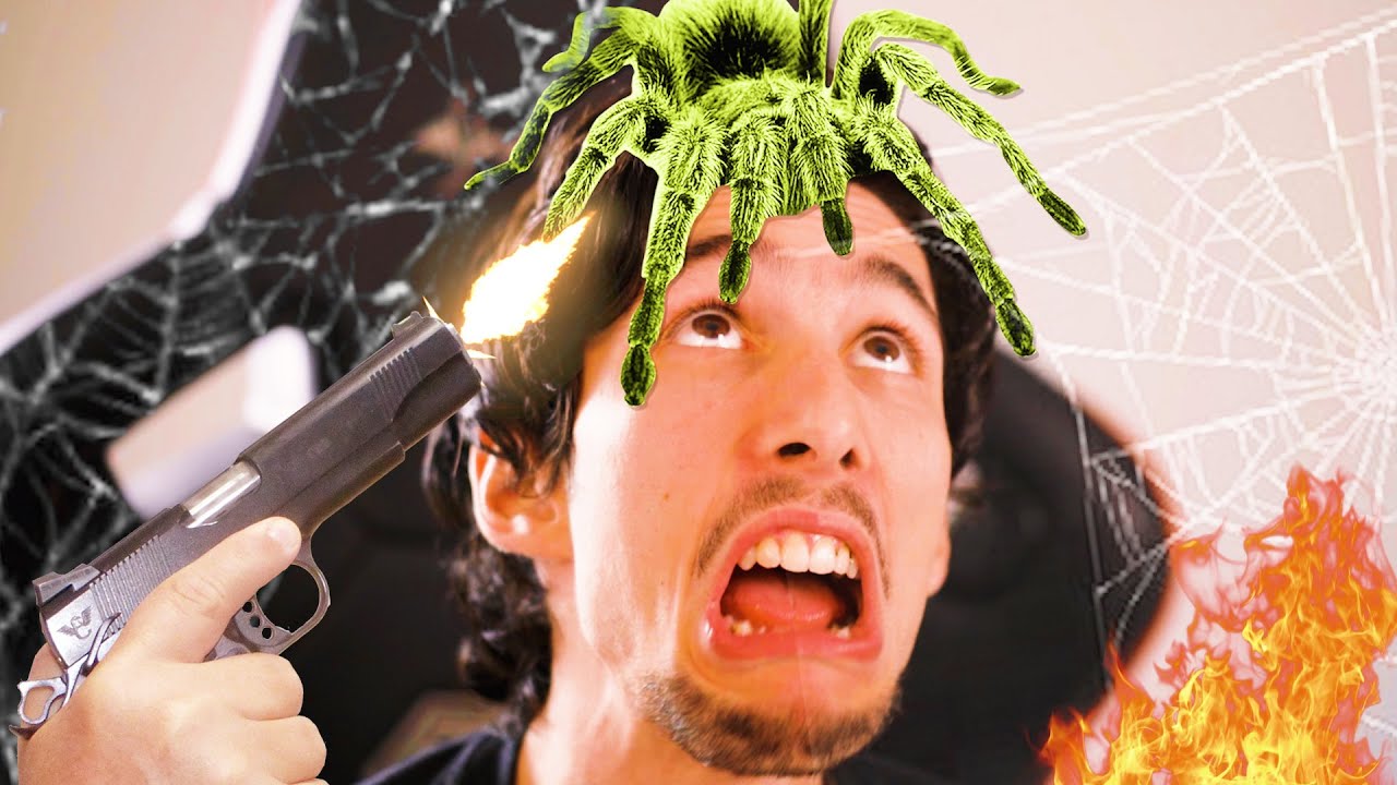 COME LIBERARTI DEI RAGNI IN CASA!! | Ragno Simulator