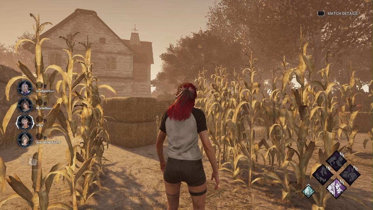 The last yard