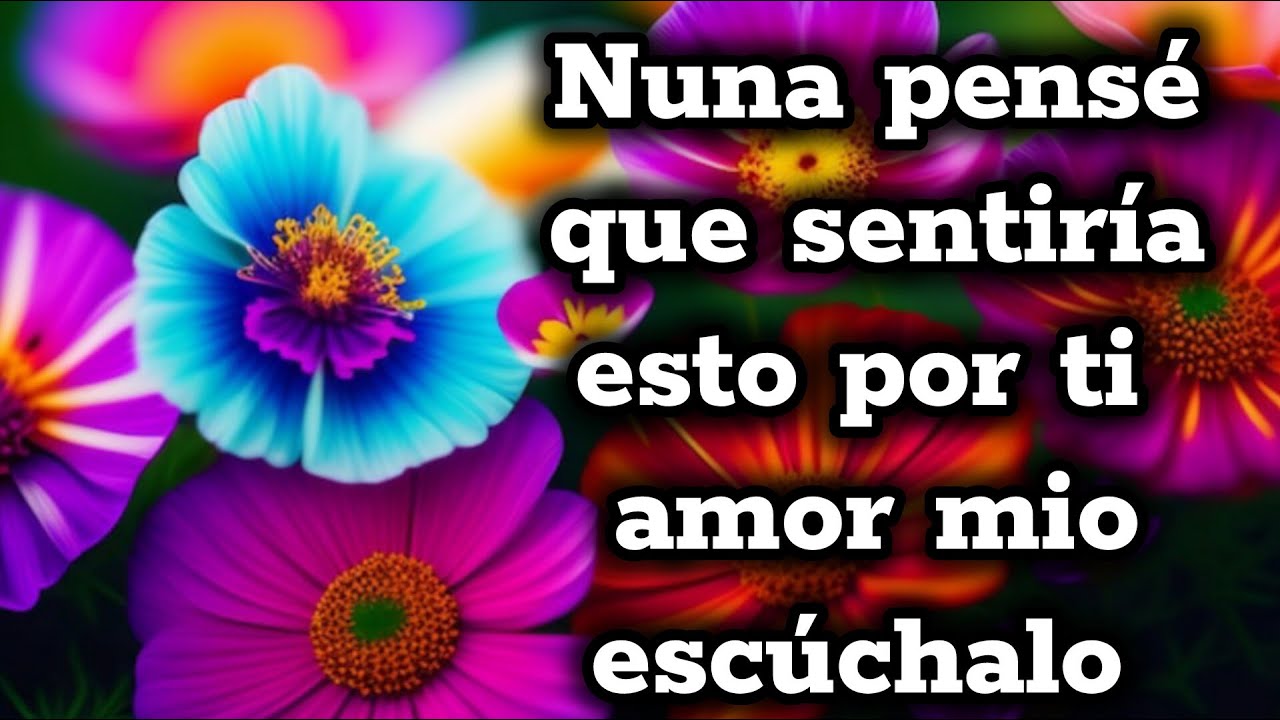 Nunca pensé que sentiría esto por ti
