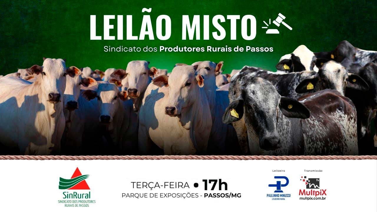 🐄 Leilão do Sindicato Rural de Passos/MG - 📲 multpix.com.br