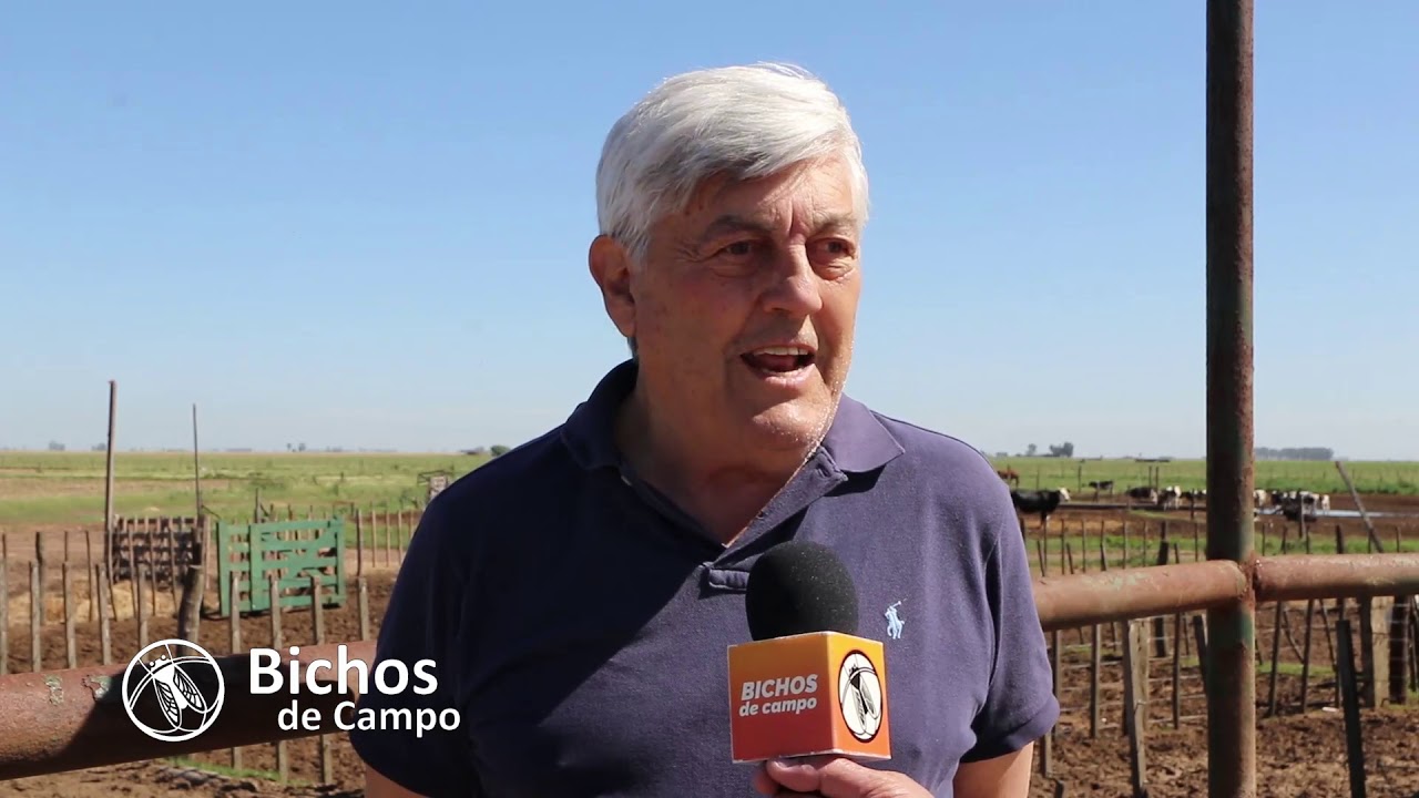 Carlos Gonzalez, dueño del tambo 