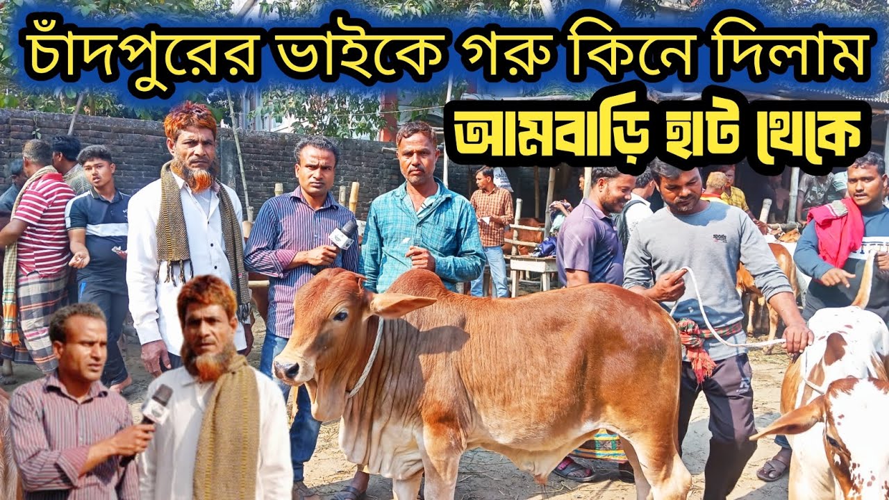 @সহযোগিতা করে কুমিল্লা চাঁদপুরের ভাইকে