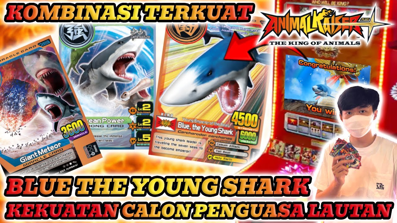 CALON RAJA LAUTAN BLUE ANIMAL KAISER PLUS KOMBINASI TERKUAT !!! - AK PLUS INDONESIA #18