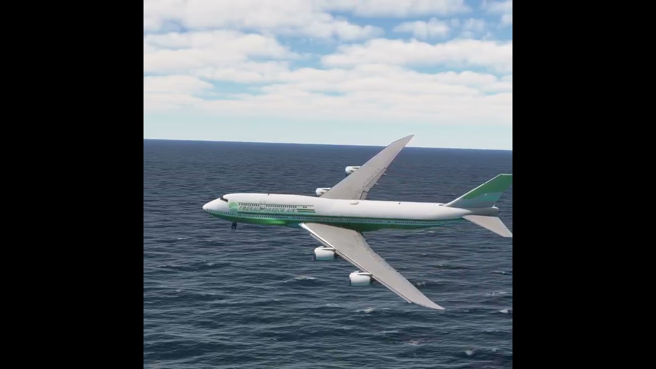 the carelessness of an airplane pilot 0197