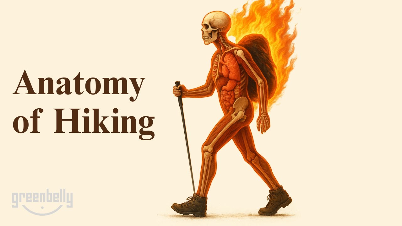 How Hiking TRANSFORMS Your Body