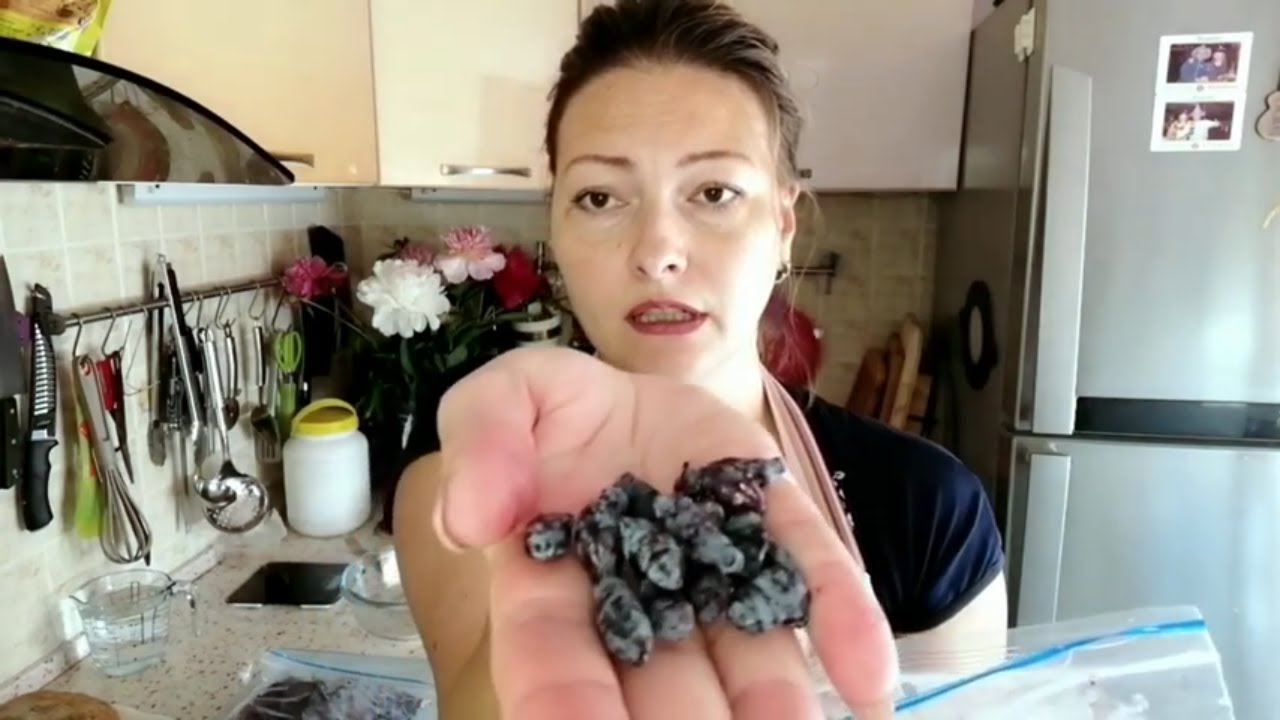 4 РЕЦЕПТА ЗАГОТОВКИ ЖИМОЛОСТИ | БУДЕМ С ВИТАМИНАМИ