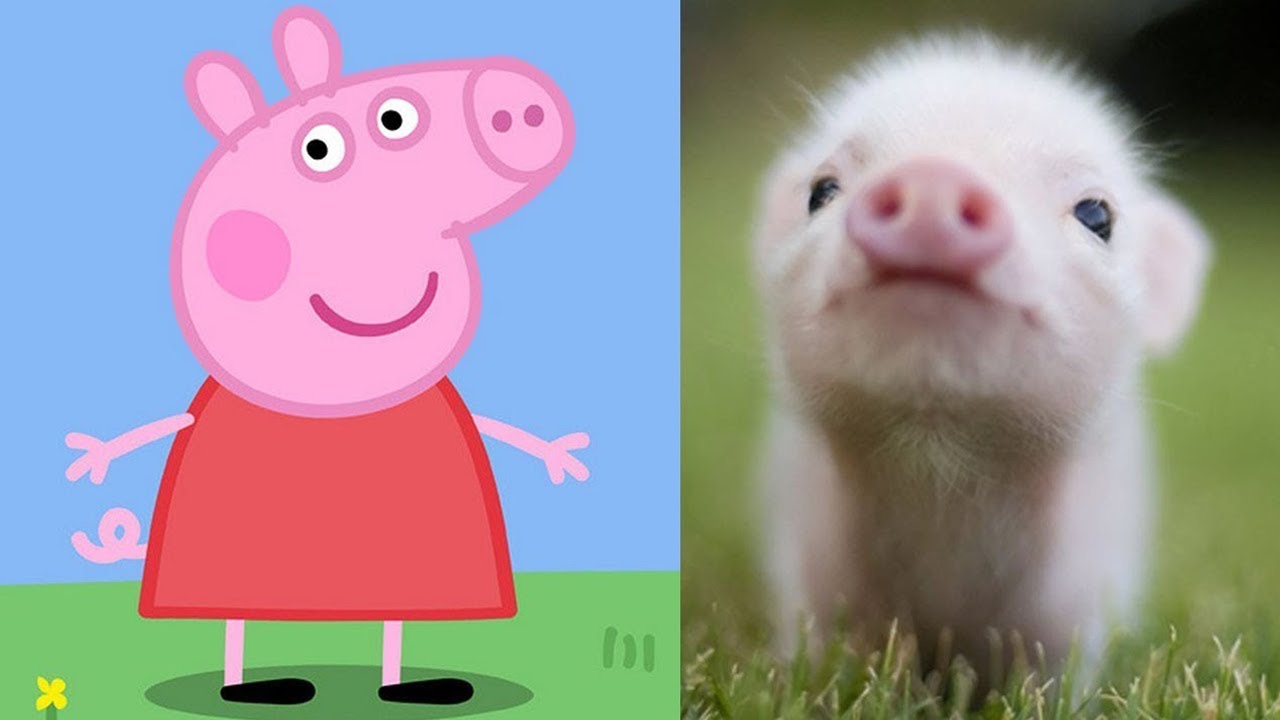 Así se Verían Los Personajes de Peppa Pig en la Vida Real