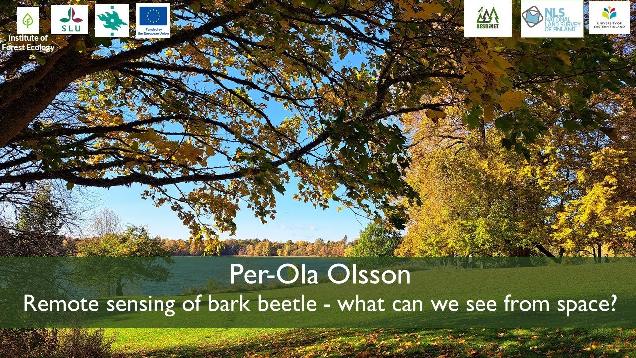 Remote sensing of bark beetle - what can we see from space? | Per-Ola Olsson