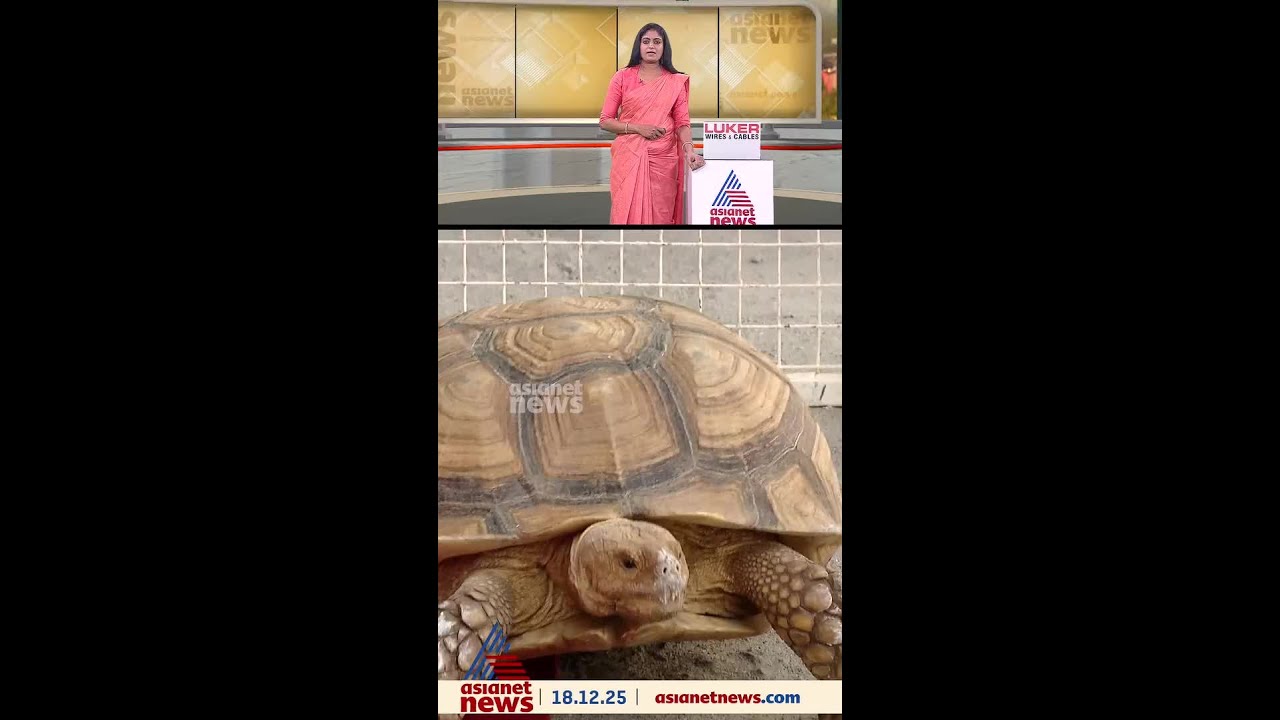 കലൂർ ഗ്രീറ്റസ് പബ്ലിക്ക് സ്‌കൂളിലെ പെറ്റ് ഷോയിൽ നടപടി; റിപ്പോർട്ട് തേടി വനം വകുപ്പ്
