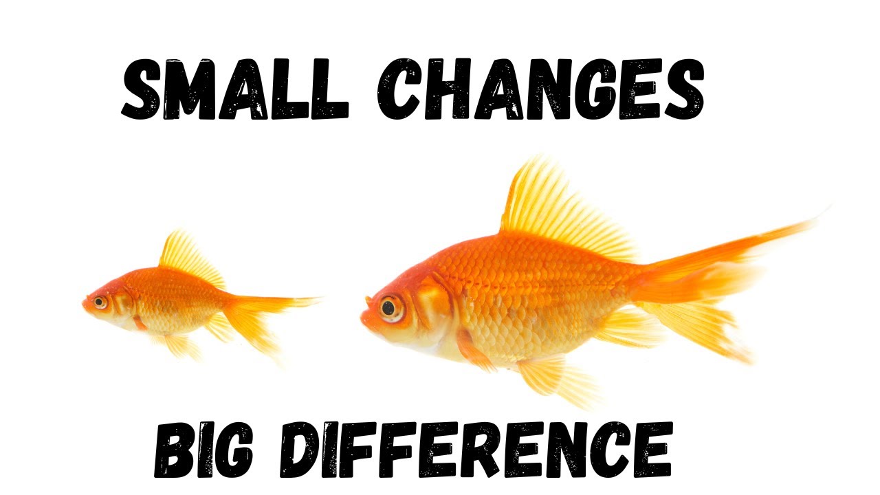 Small Changes Make Big Difference