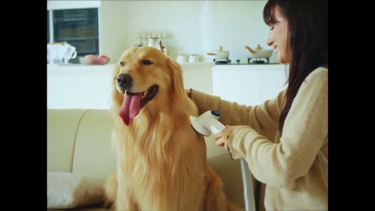 How to use Buenkee Pet Grooming Kit