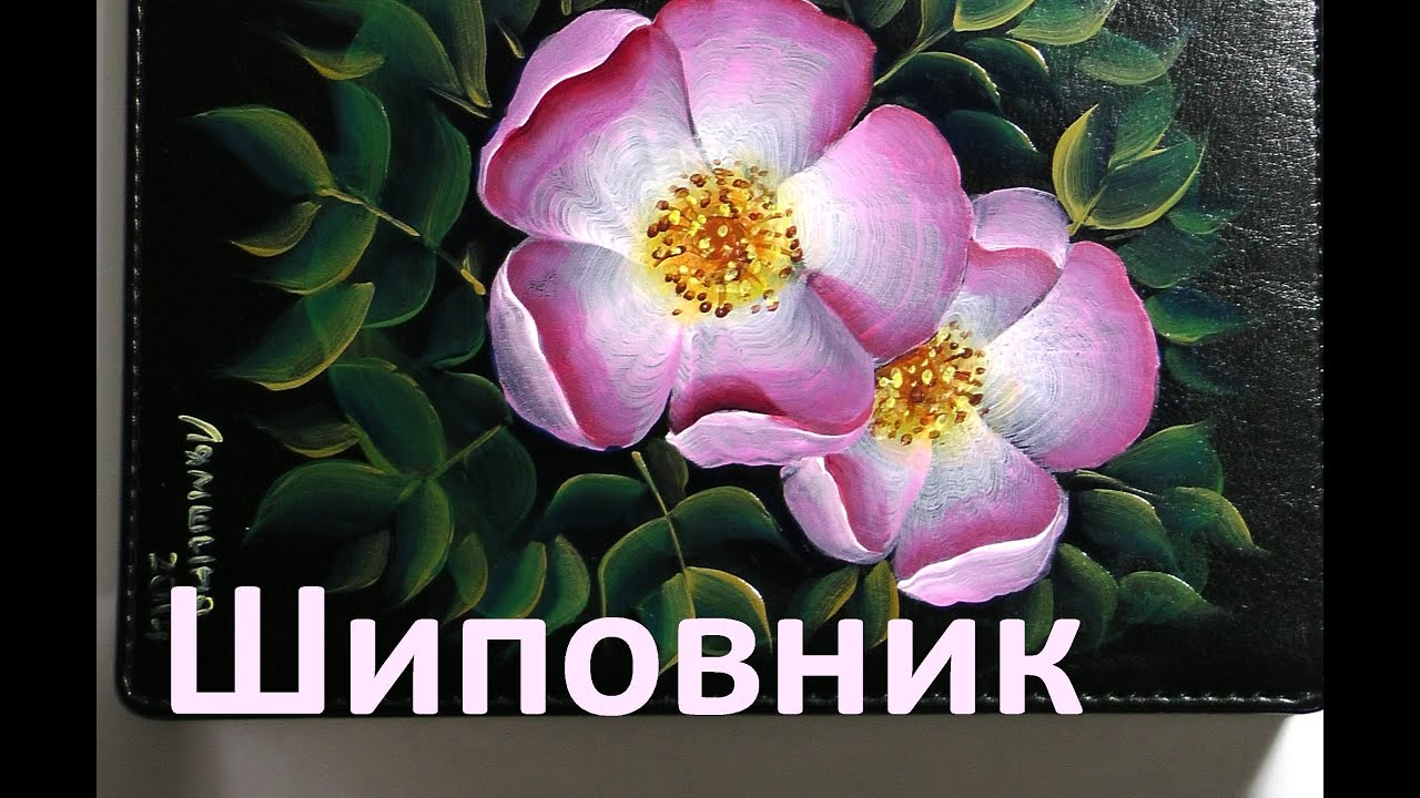 Шиповник на ежедневнике двойным мазком, irishkalia