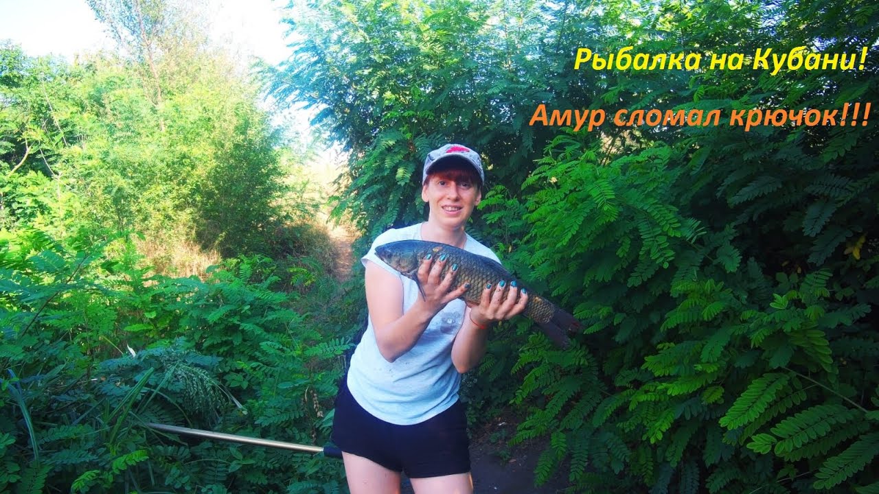 Рыбалка на Кубани, речка Кочеты! Амур на кукурузу! Амур сломал крючок 2-ку gamakatsu! Зачетный амур!