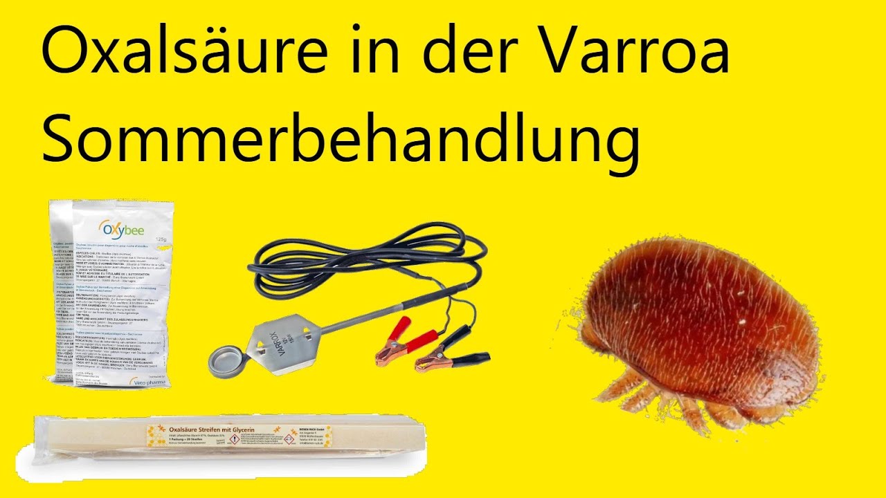 Oxalsäure - im Block?
