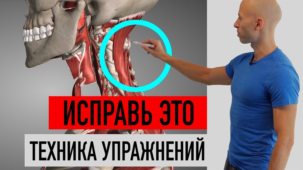 ОБЕЗОПАСЬ СВОЙ ШЕЙНЫЙ ОТДЕЛ ПОЗВОНОЧНИКА В ЗАЛЕ