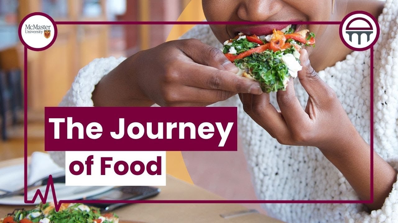 The Journey of Food