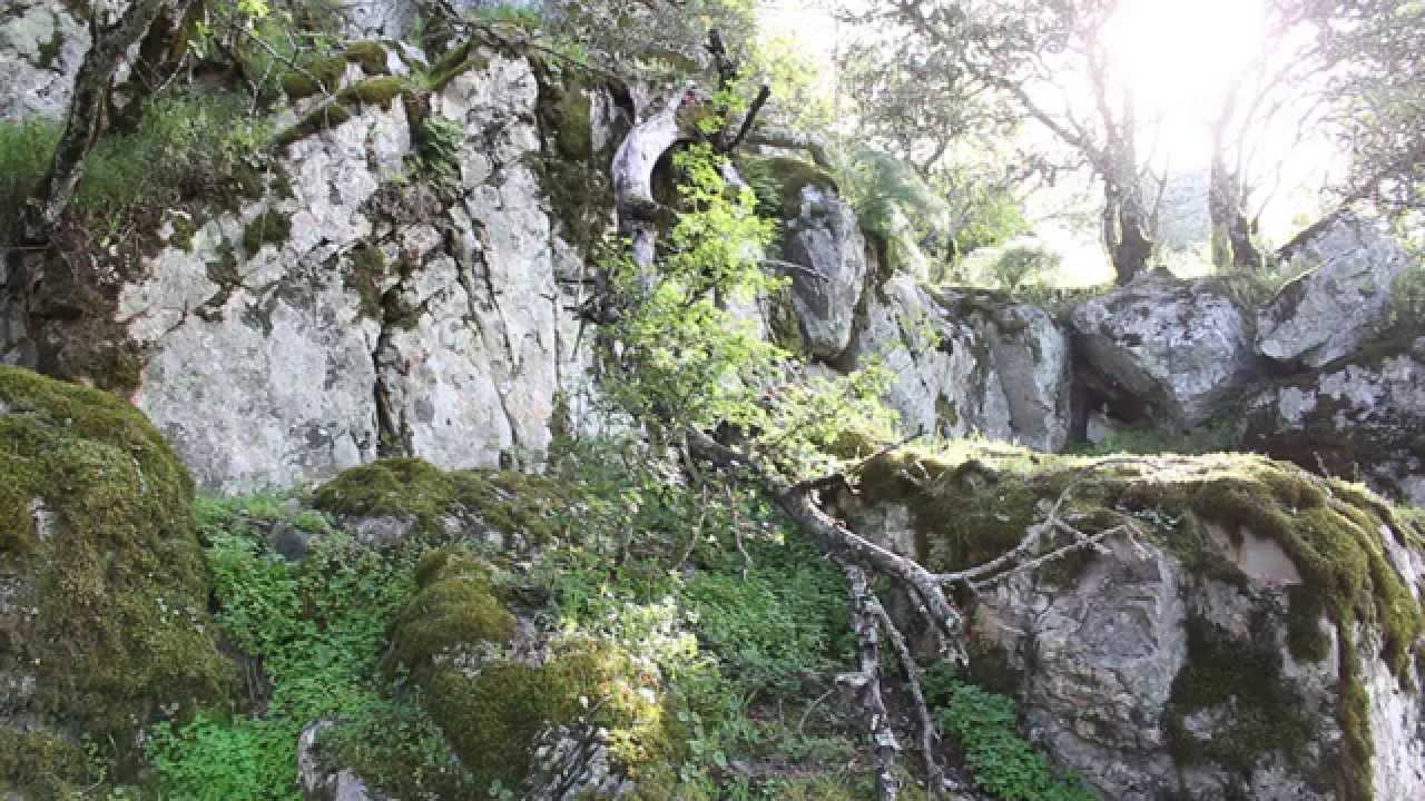 Primavera en Monfragüe
