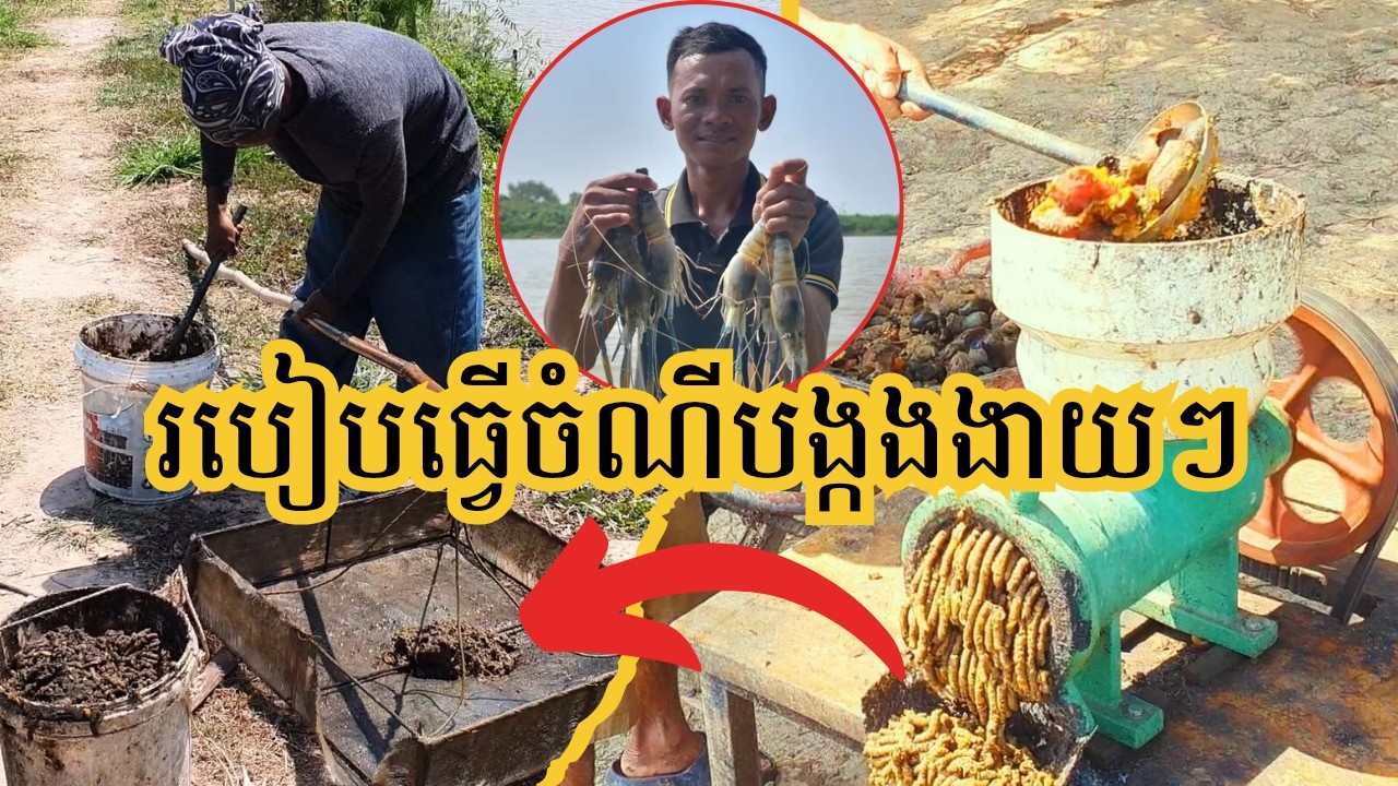 បច្ចេកទេសផលិតចំណីបង្កងដៃវែង ងាយៗ តម្លៃសមរម្យ