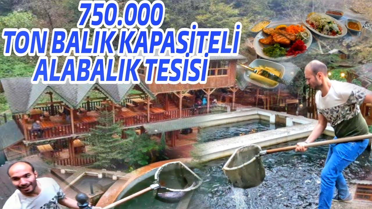 EN BÜYÜK ALABALIK TESİSİ ALTINDERE ALABALIK TESİSİ. ( VLOG VE MECERA )