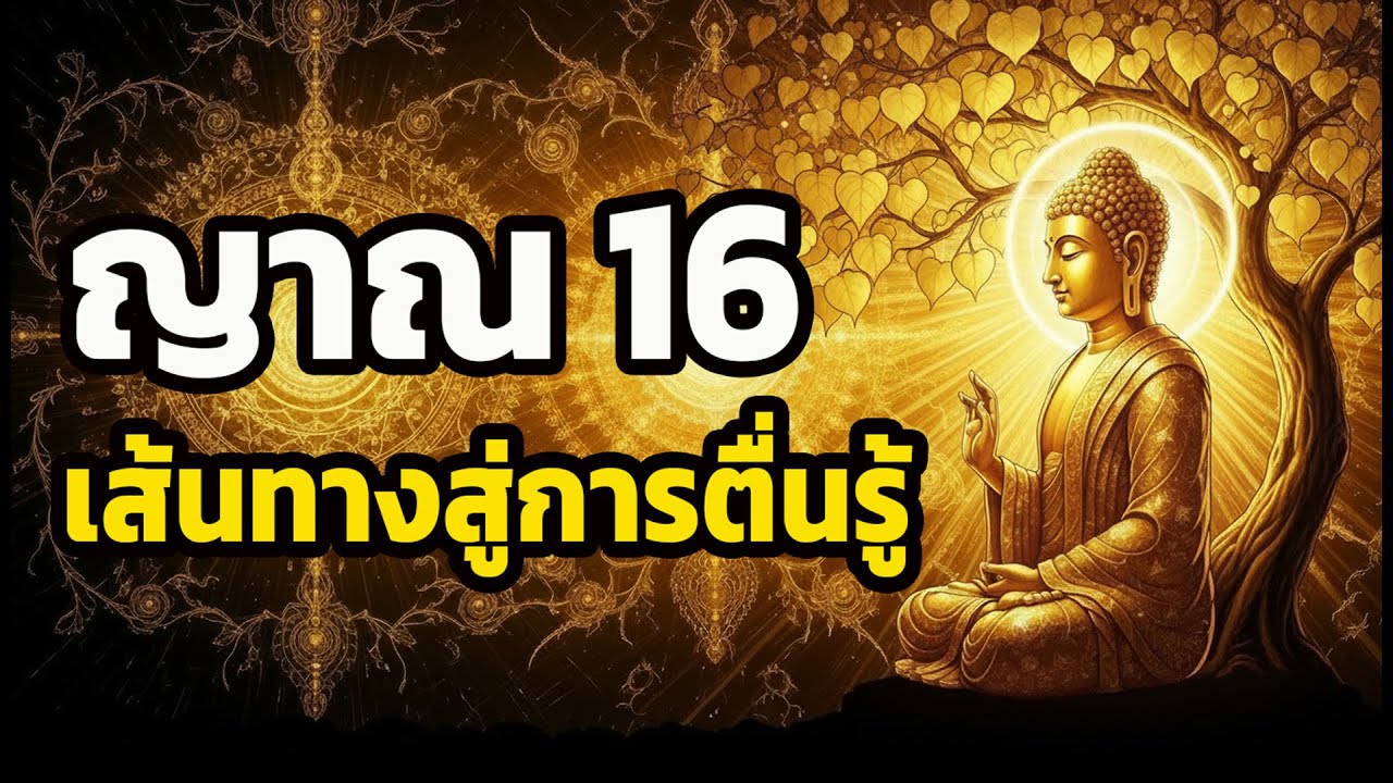 วิธีเปลี่ยนตัวเองจาก 'คนขี้ทุกข์' เป็น 'ผู้ตื่นรู้' ทันที (ฟังก่อนนอน)