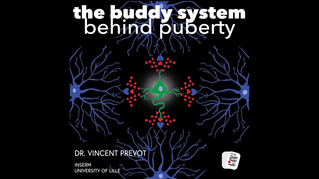 38.The buddy system behind puberty with Dr Prevot