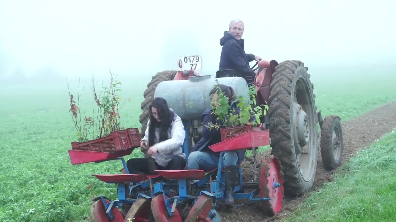 Plantation mécanisée de haies (planteuse)