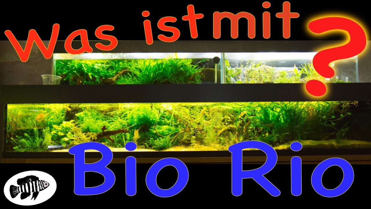 Neues vom BioRio