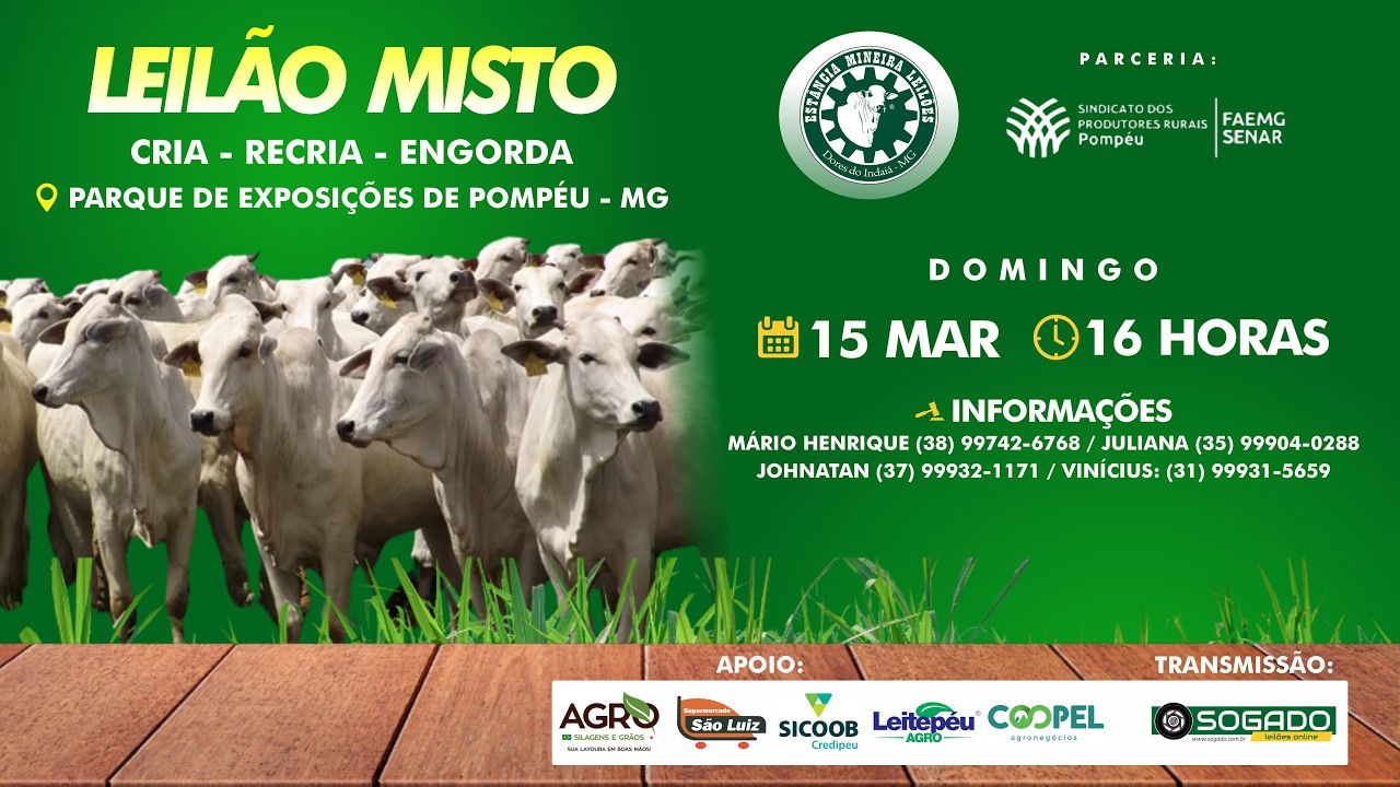 LEILÃO MISTO - ESTÂNCIA MINEIRA LEILÕES E SINDICATO DE POMPÉU/MG - 15/03/2026