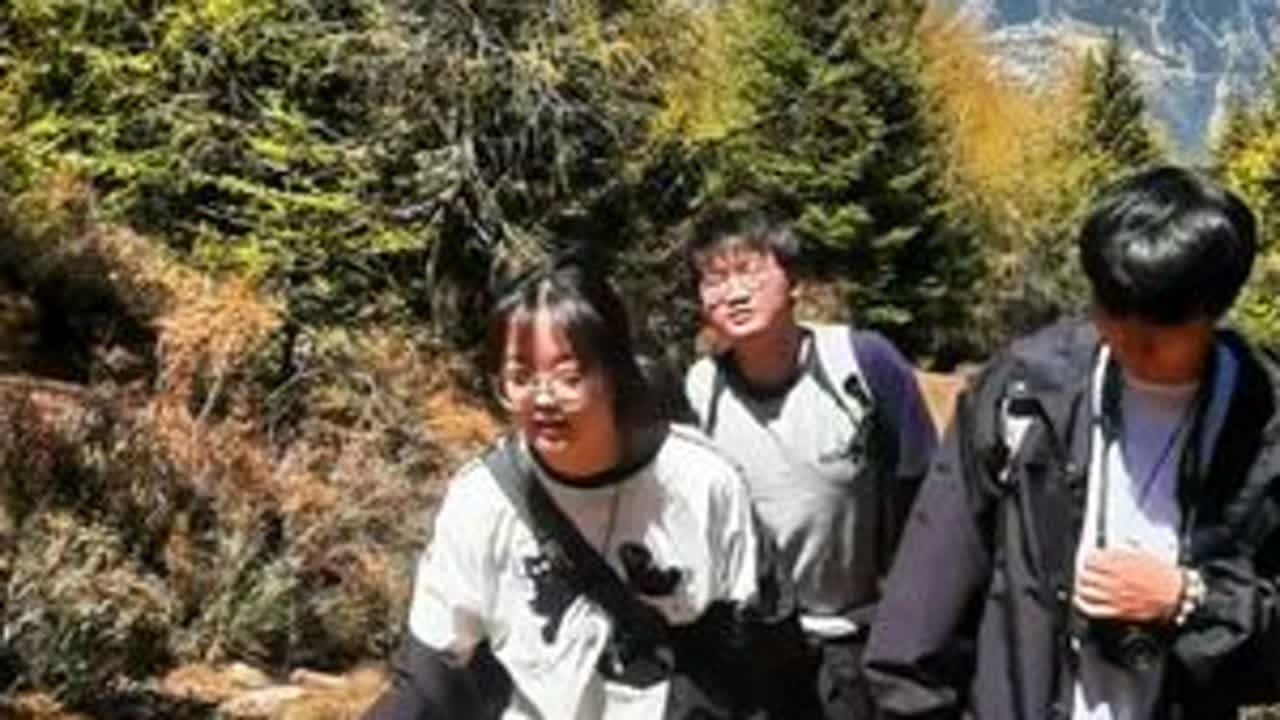 带00后的外地朋友们体验挖虫草，过程太过搞笑，差点把我笑岔气#冬虫夏草 #冬虫夏草采挖季 #我的乡村生活 #乡村守护人 #2025新农人计划