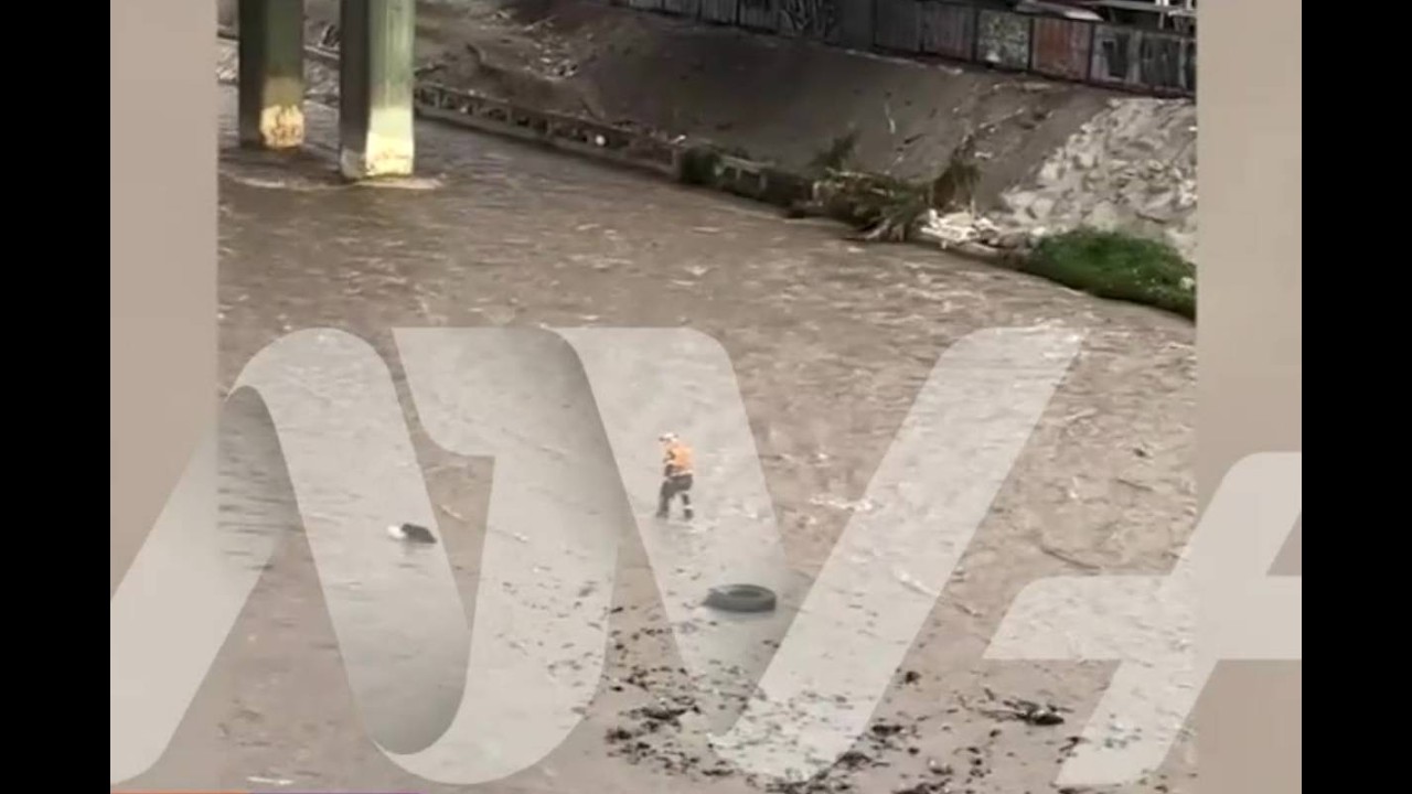 Callao: Polic&iacute;a cae al r&iacute;o al intentar rescatar a perrito