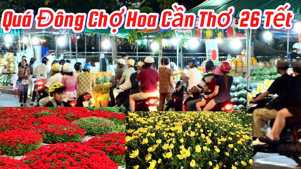 ĐÔNG VUI CHỢ HOA  CẦN THƠ NGÀY 26 TẾT