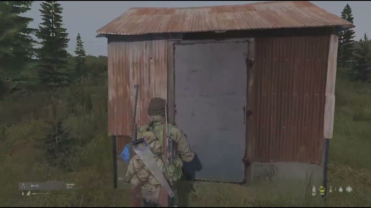 DayZ_20260110193714