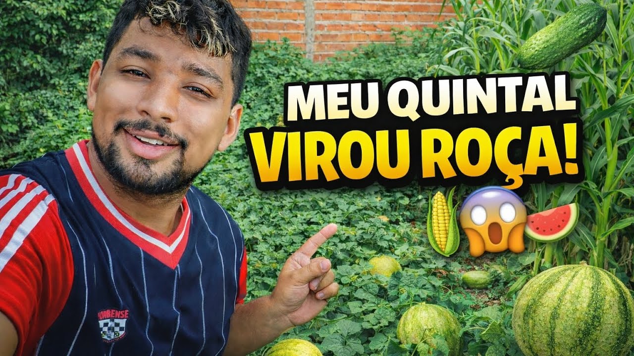 #HortaEmCasa#MeuQuintal#VidaNoInterior #PlantandoEmCasa#Roça#Milho#Melão #Pepino#Colheita#shotrs 