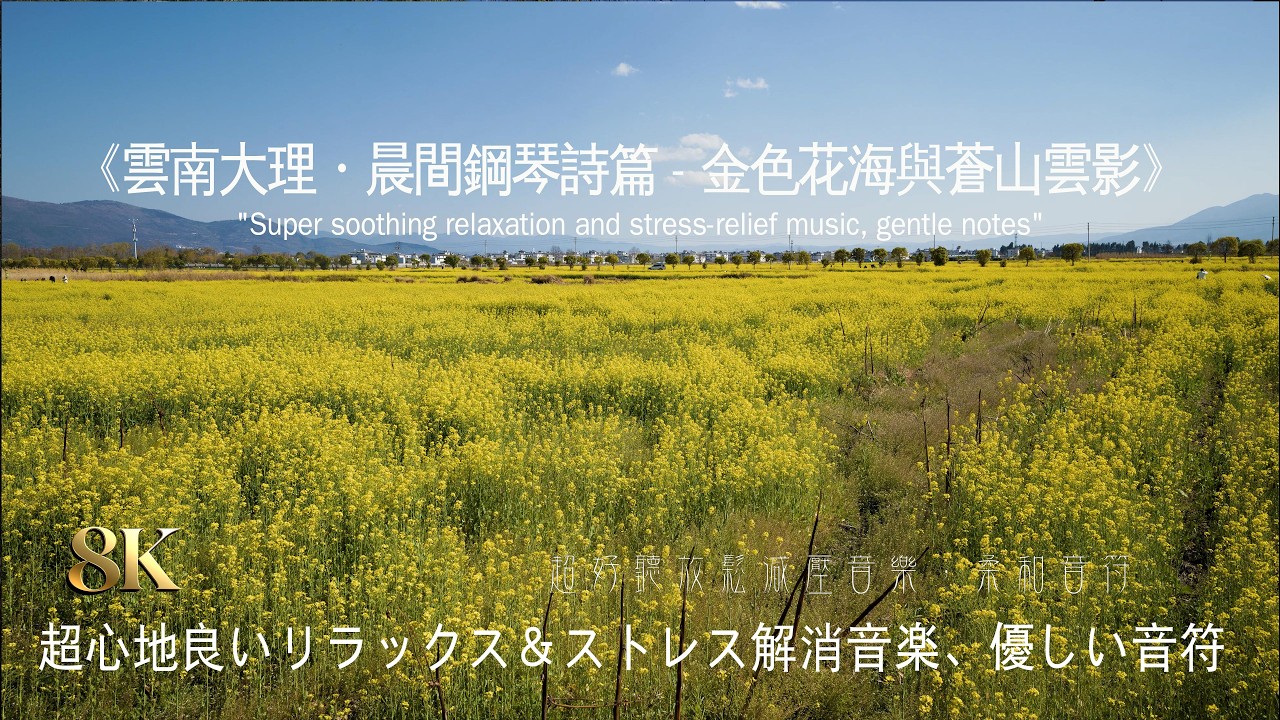 『8K』雲南大理・晨間鋼琴詩篇 - 金色花海與蒼山雲影#清晨音樂 #冥想 #睡眠音樂 #輕音樂 #自然聲音#溪流聲 #放鬆 #空靈音樂 #心靈音樂 #深呼吸 #心靈療癒#清晨音樂