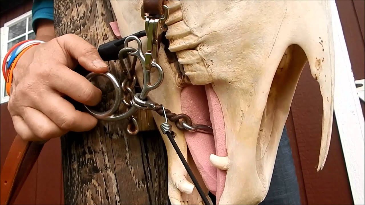 Sweet Six Gag Bit
