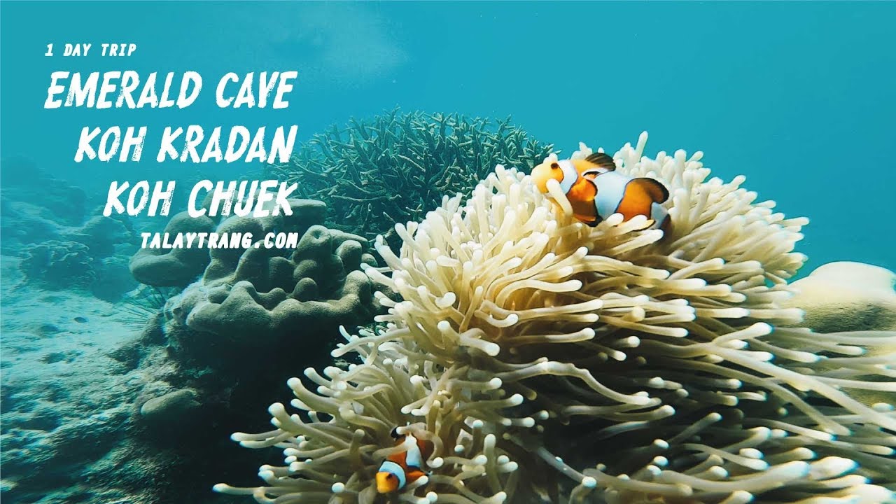 1 Day Trip with Talaytrang.com (Emerald Cave + Koh Kradan + Koh Chuek)