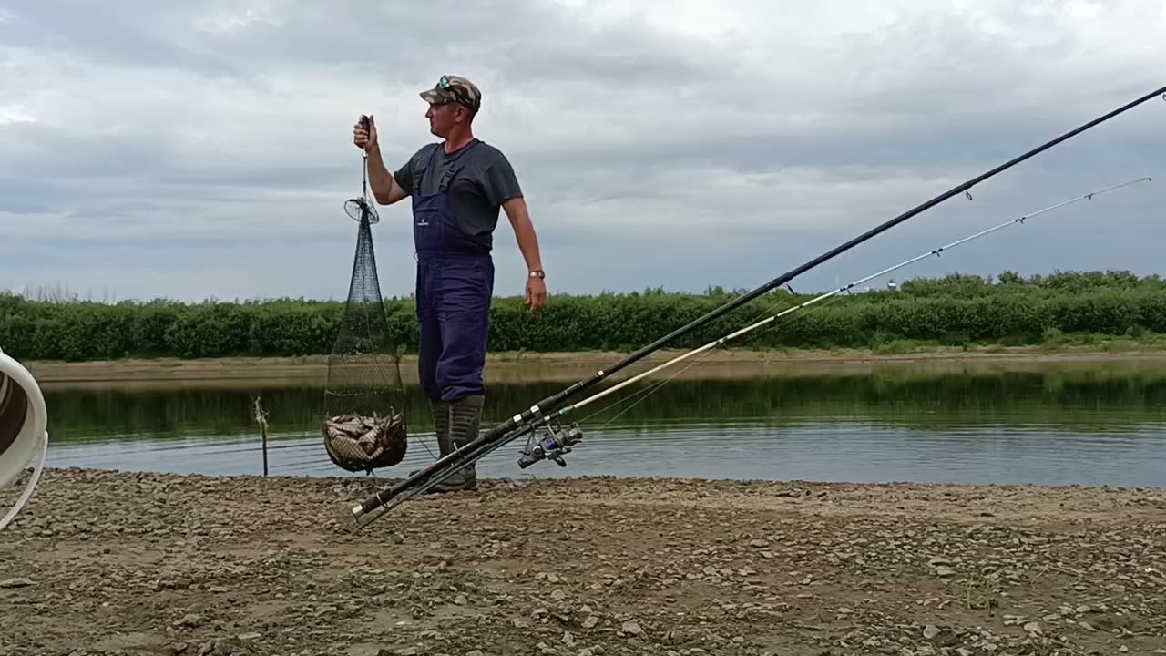 Пришла рыжая воришка. 