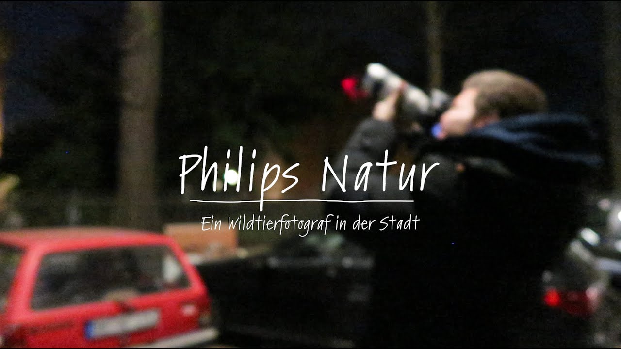 Philips Natur - Ein Wildtierfotograf in der Stadt
