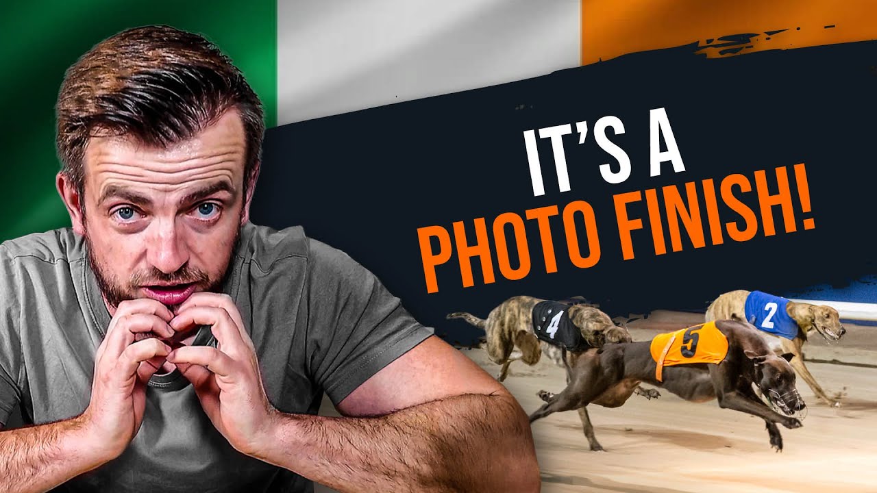 TWO Nights Betting In ONE EPISODE | Irish Greyhound Derby Round 2